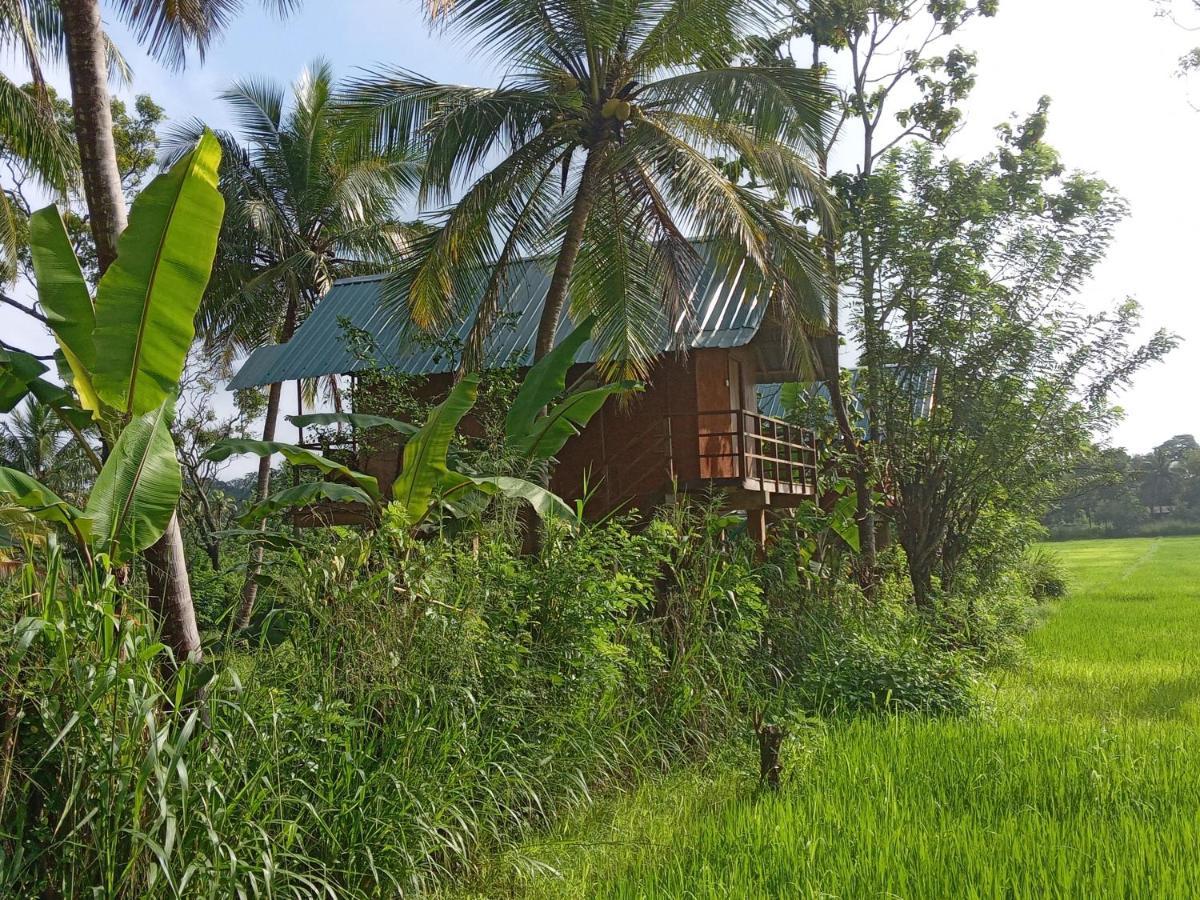 הוילה Sigiriya Paddy Field Hut מראה חיצוני תמונה