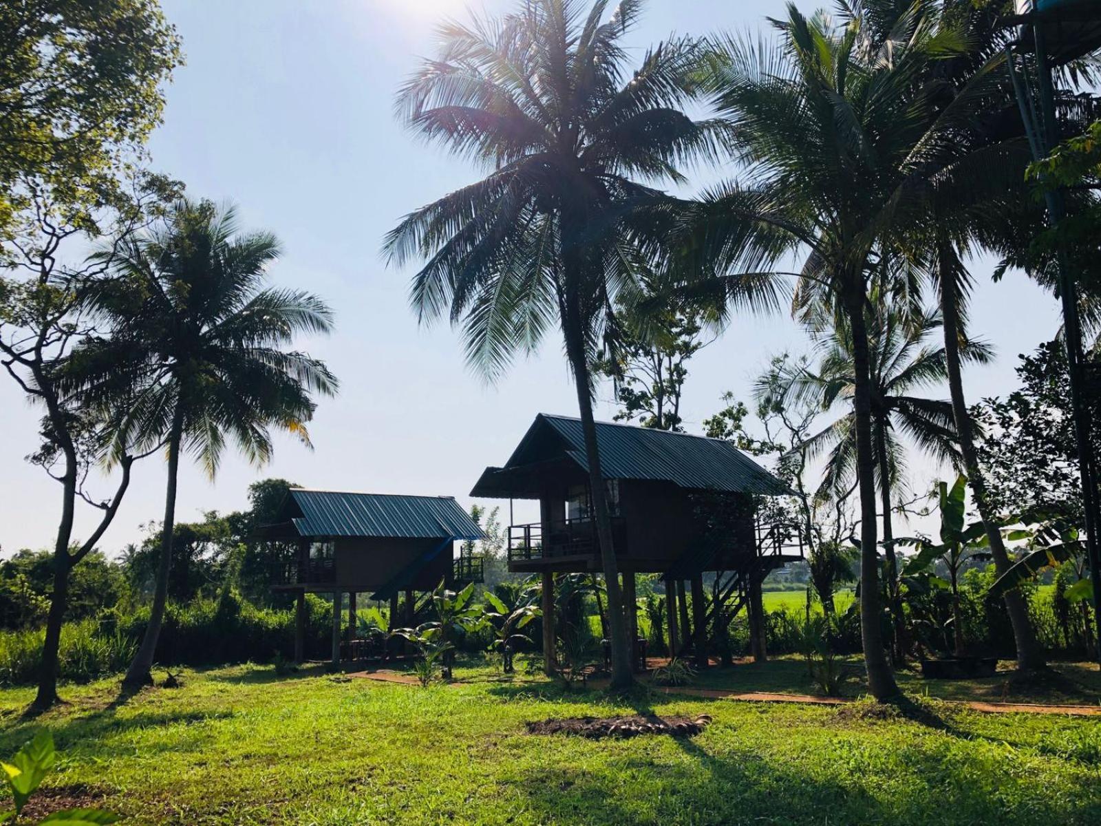 הוילה Sigiriya Paddy Field Hut חדר תמונה